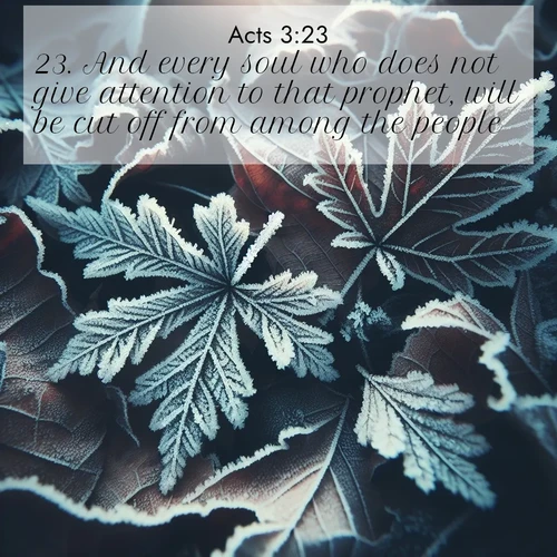 BasicEnglish Acts  ; image nature: image with the bible verse :And every soul who does not give attention to that prophet, will be cut off from among the people. ; Admire our gallery of Bible verse images paired with serene nature photography, featuring starlit skies, golden sands, and blooming wildflowers. Download and share verses like KJV Acts 3:23. Current verse is overlayed with the thematic nature scene : Winter frost creates delicate patterns on fallen leaves. ; 3:23