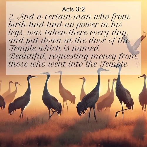 BasicEnglish Acts  ; image nature: image with the bible verse :And a certain man who from birth had had no power in his legs, was taken there every day, and put down at the door of the Temple which is named Beautiful, requesting money from those who went into the Temple; ; Admire Bible images evoking autumn, with warm colors of fallen leaves, harvested fields, and tranquil woods. These inspiring landscapes reflect the transition and beauty of God&#039;s creation. Download verses like KJV Acts 3:2. Current verse is overlayed with the thematic nature scene : Sandhill cranes dance in morning mist. Their calls echo across the marsh. ; 3:2