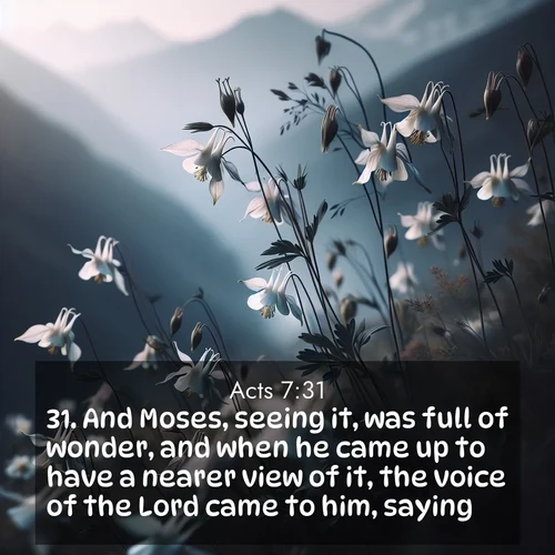 BasicEnglish Acts  ; image nature: image with the bible verse :And Moses, seeing it, was full of wonder, and when he came up to have a nearer view of it, the voice of the Lord came to him, saying, ; Admire Bible images evoking autumn, with warm colors of fallen leaves, harvested fields, and tranquil woods. These inspiring landscapes reflect the transition and beauty of God&#039;s creation. Download verses like KJV Acts 7:31. Current verse is overlayed with the thematic nature scene : Wild columbines dance in breeze. Mountain air carries their perfume. ; 7:31
