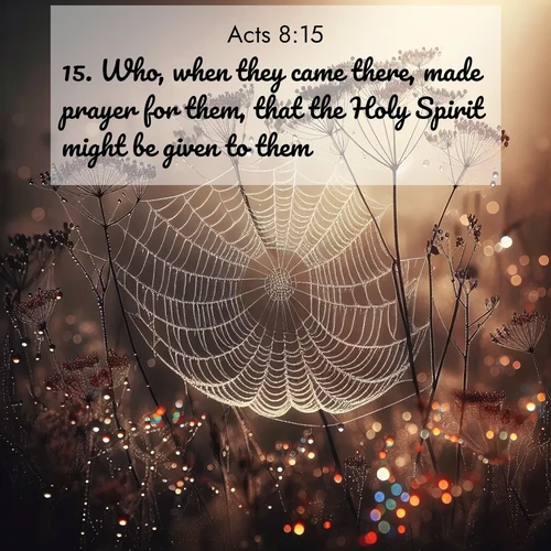 BasicEnglish Acts  ; image nature: image with the bible verse :Who, when they came there, made prayer for them, that the Holy Spirit might be given to them: ; Discover Bible images capturing the essence of autumn, with wooded paths, golden fields, and swirling leaves. These scenes reflect the changing beauty of God&#039;s creation. Download verses like KJV Acts 8:15. Current verse is overlayed with the thematic nature scene : Morning fog reveals spider galaxies. Dew drops capture rainbow light. ; 8:15