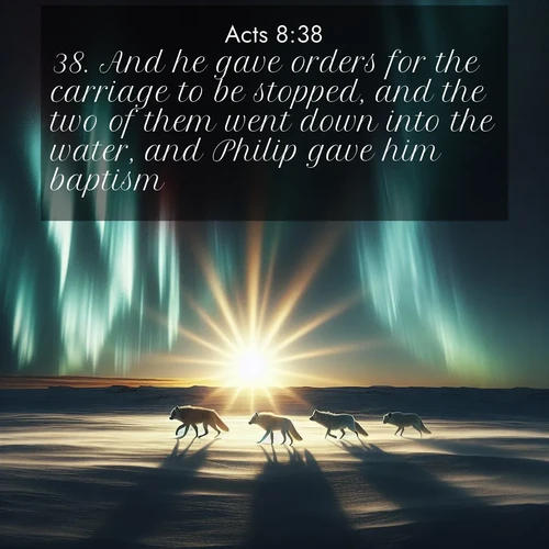 BasicEnglish Acts  ; image nature: image with the bible verse :And he gave orders for the carriage to be stopped, and the two of them went down into the water, and Philip gave him baptism. ; Discover Bible images capturing the splendor of deserts, with golden dunes, vast skies, and peaceful oases. These landscapes highlight the grandeur and serenity of God&#039;s creation. Share verses like KJV Acts 8:38. Current verse is overlayed with the thematic nature scene : Arctic wolves traverse windswept tundra. Northern lights paint their fur in shifting colors. ; 8:38