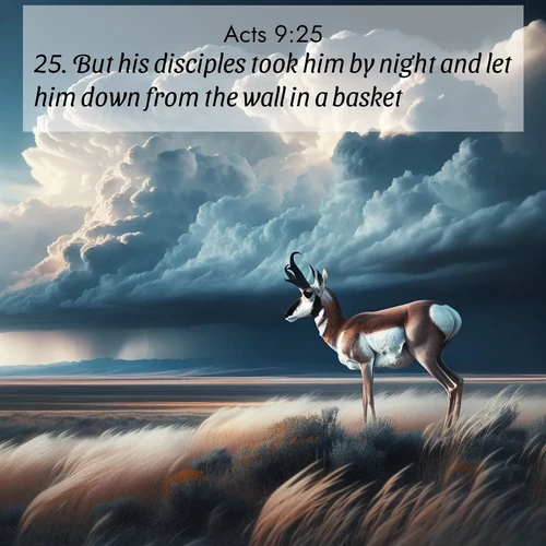 BasicEnglish Acts  ; image nature: image with the bible verse :But his disciples took him by night and let him down from the wall in a basket. ; Download Bible verse images featuring vibrant photos of nature, from snowy landscapes to golden deserts. These free images are perfect for phone wallpapers, desktop backgrounds, or sharing. Verses include KJV Acts 9:25. Current verse is overlayed with the thematic nature scene : A pronghorn pauses on wind-swept plains. Storm clouds build dark towers above. ; 9:25