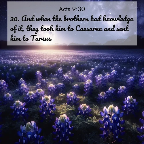 BasicEnglish Acts  ; image nature: image with the bible verse :And when the brothers had knowledge of it, they took him to Caesarea and sent him to Tarsus. ; Dive into our collection of Bible verse images beautifully illustrated with beach photos, featuring gentle waves, sunsets over the sea, and sandy shores. These scenes evoke the peace and majesty of God. Download and share inspiring verses like KJV Acts 9:30. Current verse is overlayed with the thematic nature scene : Moonlight illuminates a field of bluebonnets. A warm breeze carries their sweet fragrance across the prairie. ; 9:30