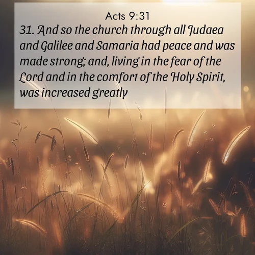BasicEnglish Acts  ; image nature: image with the bible verse :And so the church through all Judaea and Galilee and Samaria had peace and was made strong; and, living in the fear of the Lord and in the comfort of the Holy Spirit, was increased greatly. ; Dive into our collection of Bible verse images beautifully illustrated with beach photos, featuring gentle waves, sunsets over the sea, and sandy shores. These scenes evoke the peace and majesty of God. Download and share inspiring verses like KJV Acts 9:31. Current verse is overlayed with the thematic nature scene : Summer heat brings out cricket songs in meadow grass. ; 9:31