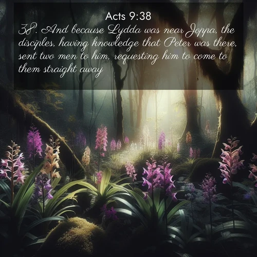 BasicEnglish Acts  ; image nature: image with the bible verse :And because Lydda was near Joppa, the disciples, having knowledge that Peter was there, sent two men to him, requesting him to come to them straight away. ; Explore our gallery of inspiring Bible verse images showcasing divine beauty through nature. Download scenic images like snowy peaks, lush meadows, or radiant sunsets paired with verses like KJV Acts 9:38. Current verse is overlayed with the thematic nature scene : Wild orchids bloom in forest shade. Filtered light reveals their grace. ; 9:38