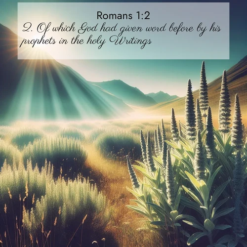 BBE 45 1:2