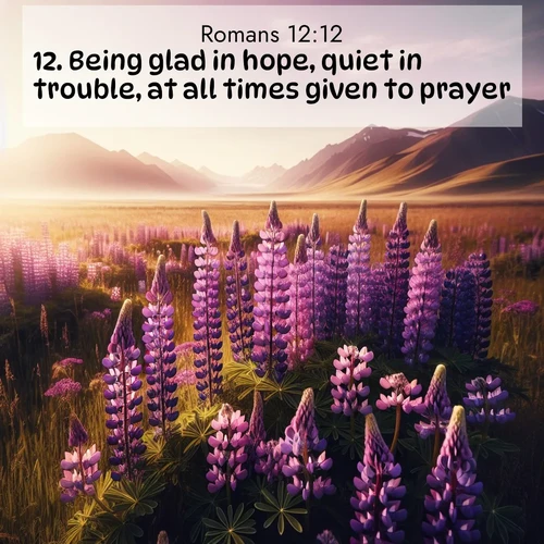 BasicEnglish Romans  ; image nature: image with the bible verse :Being glad in hope, quiet in trouble, at all times given to prayer, ; Discover Bible verse images capturing the warmth of summer, with beach landscapes, sunlit fields, and clear skies. These bright scenes reflect divine joy. Share verses like KJV Romans 12:12. Current verse is overlayed with the thematic nature scene : Wild lupines paint purple meadows. Snow lingers on distant peaks. ; 12:12