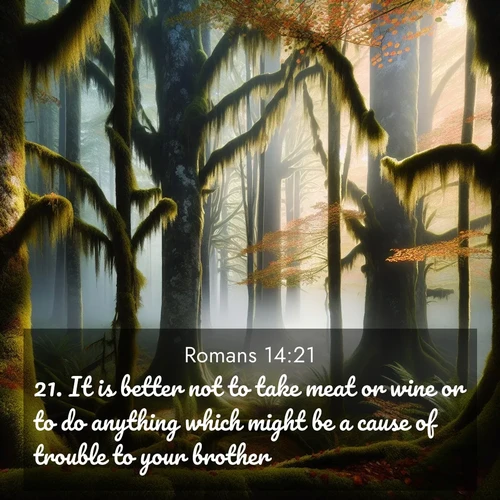 BBE Romans 14:21 overlaying nature image scene: Autumn fog shrouds an old-growth forest draped in moss and lichen.;21. It is better not to take meat or wine or to do anything which might be a cause of trouble to your brother.