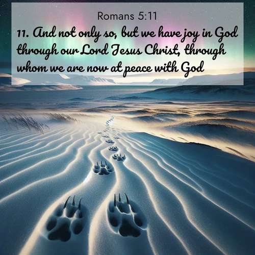 BBE Romans 5:11 overlaying nature image scene: Arctic fox tracks cross windswept tundra. Northern lights pulse overhead in cosmic rhythm.;11. And not only so, but we have joy in God through our Lord Jesus Christ, through whom we are now at peace with God.
