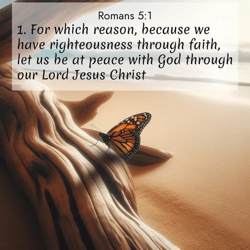 BBE Romans 5:1 overlaying nature image scene: A single monarch butterfly alights on a sun-bleached driftwood log. Waves crash endlessly on the empty beach beyond.;1. For which reason, because we have righteousness through faith, let us be at peace with God through our Lord Jesus Christ;