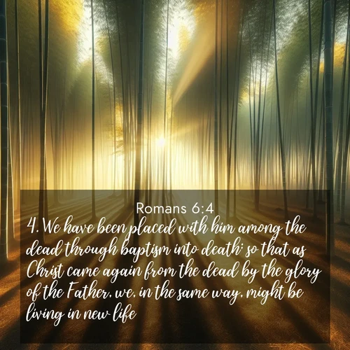 BasicEnglish Romans  ; image nature: image with the bible verse :We have been placed with him among the dead through baptism into death: so that as Christ came again from the dead by the glory of the Father, we, in the same way, might be living in new life. ; Explore Bible verse images beautifully illustrated with spring scenes, such as blooming meadows, trees in full bloom, and tranquil streams. These landscapes convey divine hope and vitality. Download and share verses like KJV Romans 6:4. Current verse is overlayed with the thematic nature scene : Morning mist parts to reveal a pristine bamboo grove. Golden light filters through the stems, casting striped shadows. ; 6:4