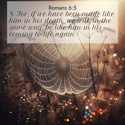 BasicEnglish Romans  ; image nature: image with the bible verse :For, if we have been made like him in his death, we will, in the same way, be like him in his coming to life again; ; Discover Bible verse images capturing the warmth of summer, with beach landscapes, sunlit fields, and clear skies. These bright scenes reflect divine joy. Share verses like KJV Romans 6:5. Current verse is overlayed with the thematic nature scene : Morning fog reveals spider galaxies. Dew drops capture rainbow light. ; 6:5