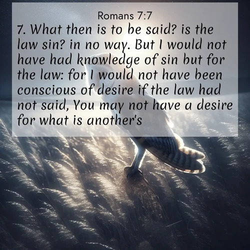 BasicEnglish Romans  ; image nature: image with the bible verse :What then is to be said? is the law sin? in no way. But I would not have had knowledge of sin but for the law: for I would not have been conscious of desire if the law had not said, You may not have a desire for what is another&#039;s. ; Dive into our collection of Bible verses paired with coastal scenes, featuring calming waves, infinite beaches, and reflections of the sun on the water. These images evoke the peace and beauty of God. Share verses like KJV Romans 7:7. Current verse is overlayed with the thematic nature scene : A barn owl quarters silent fields. Moonlight turns meadow grass to silver. ; 7:7