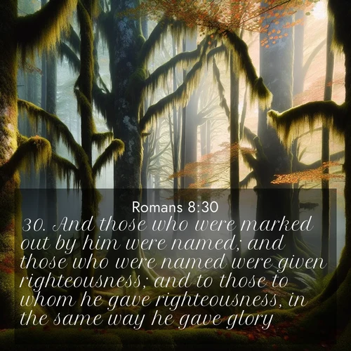 BBE Romans 8:30 overlaying nature image scene: Autumn fog shrouds an old-growth forest draped in moss and lichen.;30. And those who were marked out by him were named; and those who were named were given righteousness; and to those to whom he gave righteousness, in the same way he gave glory.