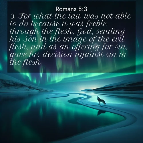 BBE Romans 8:3 overlaying nature image scene: Northern lights dance across a frozen lake in ribbons of green and purple. A lone wolf howls from the distant shore.;3. For what the law was not able to do because it was feeble through the flesh, God, sending his Son in the image of the evil flesh, and as an offering for sin, gave his decision against sin in the flesh: