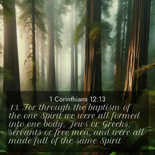 BasicEnglish 1 Corinthians  ; image nature: image with the bible verse :For through the baptism of the one Spirit we were all formed into one body, Jews or Greeks, servants or free men, and were all made full of the same Spirit. ; Download stunning Bible verse images paired with nature scenes like rolling clouds, sparkling waters, and vibrant flower fields. These free images are perfect for spiritual reflection or wallpaper use. Share KJV 1 Corinthians 12:13. Current verse is overlayed with the thematic nature scene : Coastal redwoods disappear into the fog high above a fern grove. ; 12:13
