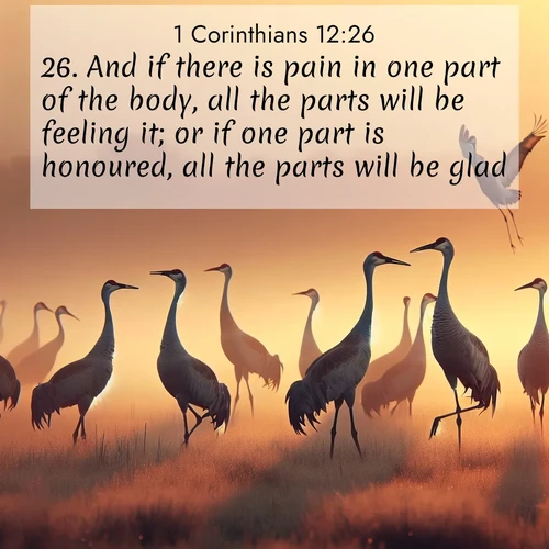 BasicEnglish 1 Corinthians  ; image nature: image with the bible verse :And if there is pain in one part of the body, all the parts will be feeling it; or if one part is honoured, all the parts will be glad. ; Browse a large collection of Bible verse images with photos showcasing the splendor of nature. Scenes of peaceful rivers, verdant valleys, and radiant skies enhance the inspiring verses. Each image reflects the serenity and joy of God&#039;s creation, with elegant text fonts. Download and share verses such as KJV 1 Corinthians 12:26. Current verse is overlayed with the thematic nature scene : Sandhill cranes dance in morning mist. Their calls echo across the marsh. ; 12:26