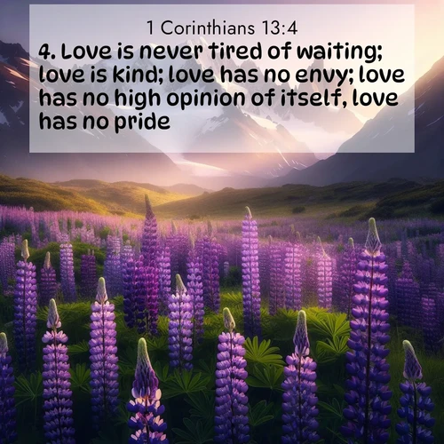 BasicEnglish 1 Corinthians  ; image nature: image with the bible verse :Love is never tired of waiting; love is kind; love has no envy; love has no high opinion of itself, love has no pride; ; Discover Bible images adorned with spring landscapes, like tulip fields, cherry blossoms, and green hills. These bright scenes symbolize God&#039;s renewal and grace. Download verses like KJV 1 Corinthians 13:4. Current verse is overlayed with the thematic nature scene : Wild lupines paint mountain meadows purple. Snow lingers on distant peaks. ; 13:4