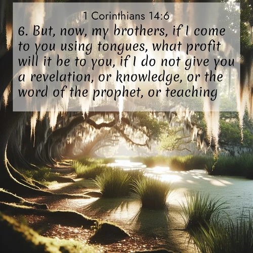 BBE 1 Corinthians 14:6 overlaying nature image scene: Summer afternoon light filters through Spanish moss in a bayou.;6. But, now, my brothers, if I come to you using tongues, what profit will it be to you, if I do not give you a revelation, or knowledge, or the word of the prophet, or teaching?