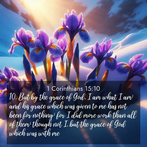 BasicEnglish 1 Corinthians  ; image nature: image with the bible verse :But by the grace of God, I am what I am: and his grace which was given to me has not been for nothing; for I did more work than all of them; though not I, but the grace of God which was with me. ; Explore an inspiring selection of Bible verse images adorned with nature photos, such as starry skies, verdant hills, and golden beaches. Each image reflects the peace and beauty of God&#039;s creation with vibrant colors and varied fonts. Share uplifting verses like KJV 1 Corinthians 15:10. Current verse is overlayed with the thematic nature scene : Wild iris blooms pierce through melting snow. Alpine sunlight ignites their petals. ; 15:10