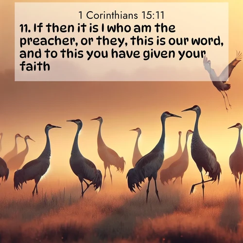 BasicEnglish 1 Corinthians  ; image nature: image with the bible verse :If then it is I who am the preacher, or they, this is our word, and to this you have given your faith. ; Browse high-resolution Bible verse images featuring stunning nature photography, such as radiant sunsets, tranquil rivers, and blooming fields. Perfect for wallpapers or sharing on social media. Download KJV 1 Corinthians 15:11. Current verse is overlayed with the thematic nature scene : Sandhill cranes dance in morning mist. Their calls echo across the marsh. ; 15:11