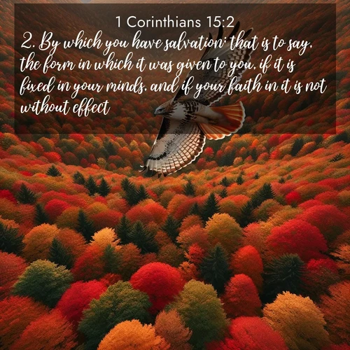 BasicEnglish 1 Corinthians  ; image nature: image with the bible verse :By which you have salvation; that is to say, the form in which it was given to you, if it is fixed in your minds, and if your faith in it is not without effect. ; Explore Bible verse images beautifully illustrated with spring scenes, such as blooming meadows, trees in full bloom, and tranquil streams. These landscapes convey divine hope and vitality. Download and share verses like KJV 1 Corinthians 15:2. Current verse is overlayed with the thematic nature scene : A red-tailed hawk circles above autumn woods. Leaves below form a mosaic of fire. ; 15:2