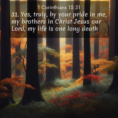 BasicEnglish 1 Corinthians  ; image nature: image with the bible verse :Yes, truly, by your pride in me, my brothers in Christ Jesus our Lord, my life is one long death. ; Discover a unique collection of Bible verses adorned with winter landscapes, such as snow-covered forests, gently falling snowflakes, and pristine mountains. These images evoke the peace and purity of God&#039;s creation. Share verses like KJV 1 Corinthians 15:31. Current verse is overlayed with the thematic nature scene : Autumn rain darkens tree trunks in the forest. ; 15:31