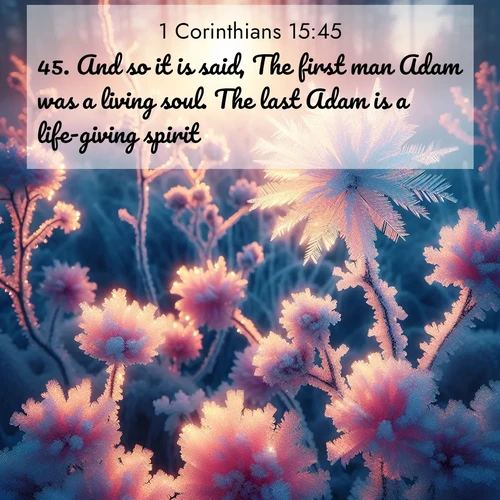 BasicEnglish 1 Corinthians  ; image nature: image with the bible verse :And so it is said, The first man Adam was a living soul. The last Adam is a life-giving spirit. ; Browse beautiful Bible verse images accompanied by peaceful scenes like calm seas, ancient forests, and radiant horizons. Download high-quality, free images featuring verses such as KJV 1 Corinthians 15:45. Current verse is overlayed with the thematic nature scene : Morning light reveals frost flowers. Rainbow crystals bloom on bare branches. ; 15:45