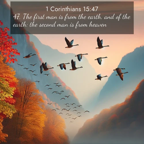 BasicEnglish 1 Corinthians  ; image nature: image with the bible verse :The first man is from the earth, and of the earth: the second man is from heaven. ; Explore serene Bible verse images adorned with photos of divine creation—tranquil beaches, snowy mountains, and starry skies. Each image is free to download and share. Verses include KJV 1 Corinthians 15:47. Current verse is overlayed with the thematic nature scene : Wild geese arrow through autumn skies. Their calls echo off mountain walls. ; 15:47