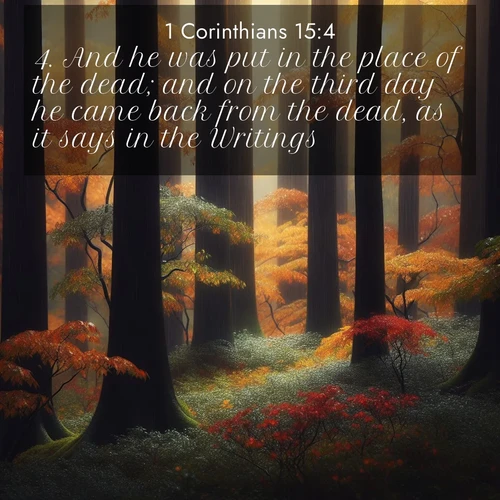 BasicEnglish 1 Corinthians  ; image nature: image with the bible verse :And he was put in the place of the dead; and on the third day he came back from the dead, as it says in the Writings; ; Explore free Bible verse images with stunning nature themes, including sunlit paths, forest clearings, and endless horizons. Perfect for desktop backgrounds or phone wallpapers. Verses include KJV 1 Corinthians 15:4. Current verse is overlayed with the thematic nature scene : Autumn rain darkens tree trunks in the forest. ; 15:4