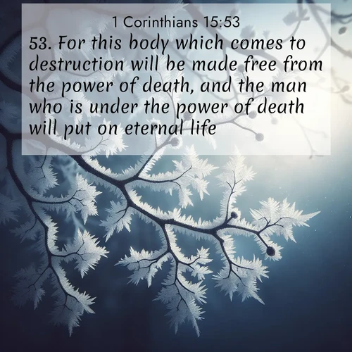 BasicEnglish 1 Corinthians  ; image nature: image with the bible verse :For this body which comes to destruction will be made free from the power of death, and the man who is under the power of death will put on eternal life. ; Browse our selection of stunning Bible verse images featuring unique natural scenes like fiery autumn forests, serene meadows, and starlit skies. Download and share verses like KJV 1 Corinthians 15:53 for free. Current verse is overlayed with the thematic nature scene : Winter frost coats bare branches in delicate crystal. ; 15:53