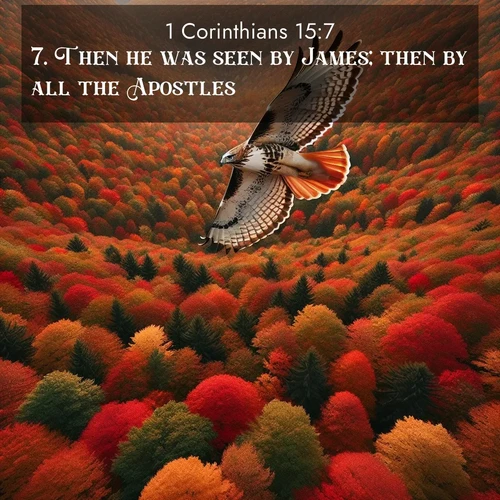 BasicEnglish 1 Corinthians  ; image nature: image with the bible verse :Then he was seen by James; then by all the Apostles. ; Explore Bible verse images highlighting the beauty of spring, with vibrant flowers, butterflies, and blossoming fruit trees. These scenes evoke divine hope and renewal. Download inspiring verses like KJV 1 Corinthians 15:7. Current verse is overlayed with the thematic nature scene : A red-tailed hawk circles above autumn woods. Leaves below form a mosaic of fire. ; 15:7