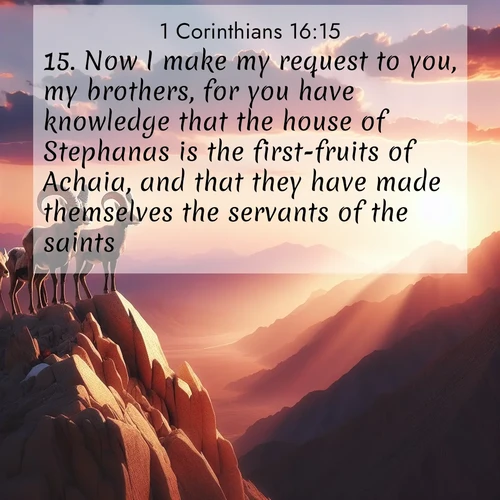 BasicEnglish 1 Corinthians  ; image nature: image with the bible verse :Now I make my request to you, my brothers, for you have knowledge that the house of Stephanas is the first-fruits of Achaia, and that they have made themselves the servants of the saints, ; Explore our vast collection of images featuring beautifully illustrated Bible verses accompanied by nature photos. Discover inspiring and motivating verses paired with soothing landscapes, like shimmering lakes, majestic mountains, and lush forests. Our images highlight the peaceful beauty of God&#039;s creation with vibrant colors and varied fonts. Download and share verse images like KJV 1 Corinthians 16:15. Current verse is overlayed with the thematic nature scene : Desert bighorns pause on a knife-edge ridge. Sunset paints their horns in gold. ; 16:15