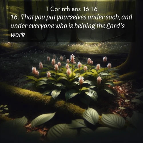 BasicEnglish 1 Corinthians  ; image nature: image with the bible verse :That you put yourselves under such, and under everyone who is helping the Lord&#039;s work. ; Explore our vast collection of images featuring beautifully illustrated Bible verses accompanied by nature photos. Discover inspiring and motivating verses paired with soothing landscapes, like shimmering lakes, majestic mountains, and lush forests. Our images highlight the peaceful beauty of God&#039;s creation with vibrant colors and varied fonts. Download and share verse images like KJV 1 Corinthians 16:16. Current verse is overlayed with the thematic nature scene : Wild ginger blooms hidden in forest shadows. Filtered sunlight reveals their secret beauty. ; 16:16