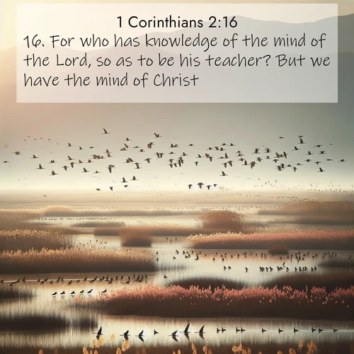 BBE 1 Corinthians 2:16 overlaying nature image scene: Spring migration fills marshlands with calling birds.;16. For who has knowledge of the mind of the Lord, so as to be his teacher? But we have the mind of Christ.