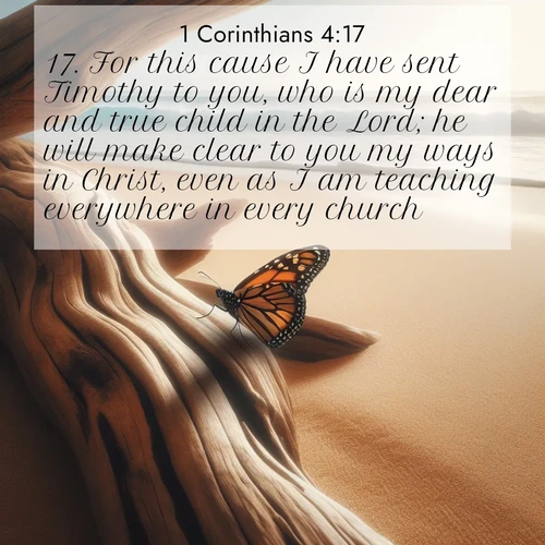 BasicEnglish 1 Corinthians  ; image nature: image with the bible verse :For this cause I have sent Timothy to you, who is my dear and true child in the Lord; he will make clear to you my ways in Christ, even as I am teaching everywhere in every church. ; Discover a rich selection of Bible verse images illustrated by natural landscapes like tranquil beaches, golden fields, and majestic trees. These images aim to capture the peace and beauty of God&#039;s creation, with vibrant colors and varied typography. Download and share inspiring verses like KJV 1 Corinthians 4:17. Current verse is overlayed with the thematic nature scene : A single monarch butterfly alights on a sun-bleached driftwood log. Waves crash endlessly on the empty beach beyond. ; 4:17
