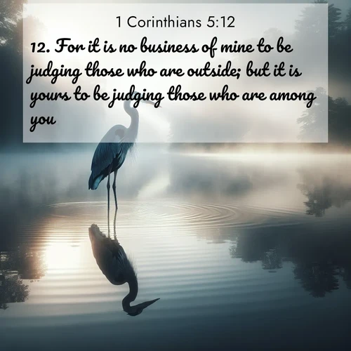 BBE 1 Corinthians 5:12 overlaying nature image scene: A great blue heron stands motionless in morning fog. Ripples spread from its reflection.;12. For it is no business of mine to be judging those who are outside; but it is yours to be judging those who are among you;
