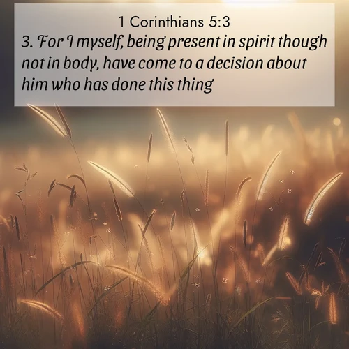BBE 1 Corinthians 5:3 overlaying nature image scene: Summer heat brings out cricket songs in meadow grass.;3. For I myself, being present in spirit though not in body, have come to a decision about him who has done this thing;