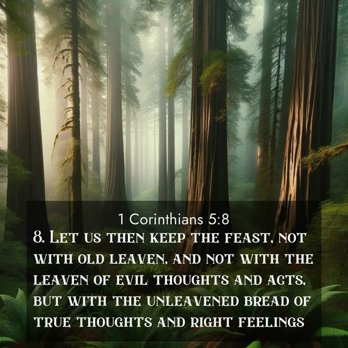 BBE 1 Corinthians 5:8 overlaying nature image scene: Coastal redwoods disappear into the fog high above a fern grove.;8. Let us then keep the feast, not with old leaven, and not with the leaven of evil thoughts and acts, but with the unleavened bread of true thoughts and right feelings.