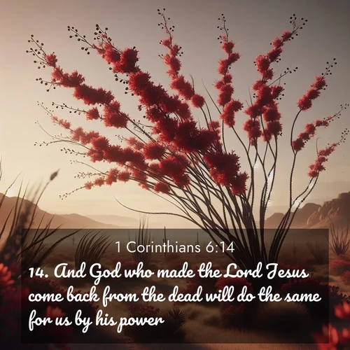 BasicEnglish 1 Corinthians  ; image nature: image with the bible verse :And God who made the Lord Jesus come back from the dead will do the same for us by his power. ; Explore a unique collection of Bible verses illustrated by winter landscapes, such as snowy mountains, frosty forests, and starry skies. These images capture the peace and beauty of winter. Share verses like KJV 1 Corinthians 6:14. Current verse is overlayed with the thematic nature scene : Desert ocotillo flames crimson red. Wind sings through thorny branches. ; 6:14