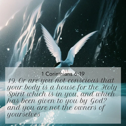 BasicEnglish 1 Corinthians  ; image nature: image with the bible verse :Or are you not conscious that your body is a house for the Holy Spirit which is in you, and which has been given to you by God? and you are not the owners of yourselves; ; Discover tranquil Bible verse images enhanced with natural scenery like rippling brooks, snow-covered fields, and sunlit beaches. These free images are perfect for wallpapers or spiritual reflection. Share KJV 1 Corinthians 6:19. Current verse is overlayed with the thematic nature scene : Arctic terns dive through sea spray above turquoise glacial meltwater. Their white wings flash silver against obsidian cliffs. ; 6:19