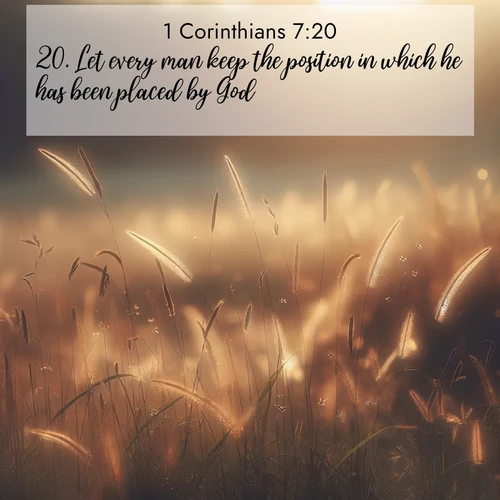 BasicEnglish 1 Corinthians  ; image nature: image with the bible verse :Let every man keep the position in which he has been placed by God. ; Discover a gallery of Bible verse images showcasing the beauty of autumn, with golden leaves, red forests, and peaceful fields bathed in soft light. These soothing scenes are perfect for accompanying inspiring verses like KJV 1 Corinthians 7:20. Current verse is overlayed with the thematic nature scene : Summer heat brings out cricket songs in meadow grass. ; 7:20