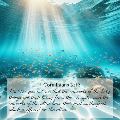 BBE 1 Corinthians 9:13 overlaying nature image scene: Reef fish swirl in perfect formation through crystal waters. Sunlight creates shifting patterns on white sand below.;13. Do you not see that the servants of the holy things get their living from the Temple, and the servants of the altar have their part in the food which is offered on the altar?
