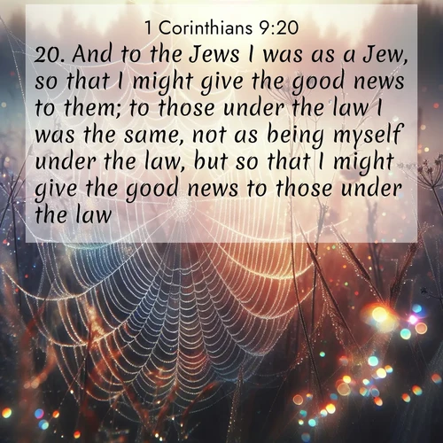 BBE 1 Corinthians 9:20 overlaying nature image scene: Morning fog reveals spider web galaxies. Dew drops catch rainbow light.;20. And to the Jews I was as a Jew, so that I might give the good news to them; to those under the law I was the same, not as being myself under the law, but so that I might give the good news to those under the law.