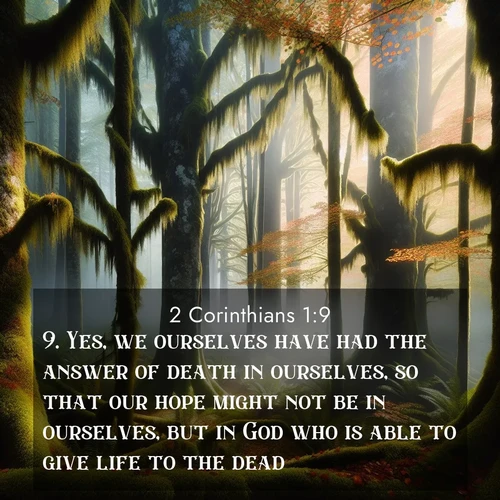 BasicEnglish 2 Corinthians  ; image nature: image with the bible verse :Yes, we ourselves have had the answer of death in ourselves, so that our hope might not be in ourselves, but in God who is able to give life to the dead: ; Explore a stunning collection of Bible verse images featuring picturesque scenery like sun-drenched meadows, tranquil lakes, and majestic forests. All images are free to download and share. Verses include KJV 2 Corinthians 1:9. Current verse is overlayed with the thematic nature scene : Autumn fog shrouds an old-growth forest draped in moss and lichen. ; 1:9