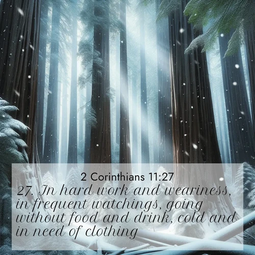 BasicEnglish 2 Corinthians  ; image nature: image with the bible verse :In hard work and weariness, in frequent watchings, going without food and drink, cold and in need of clothing. ; Explore a collection of inspiring Bible verse images accompanied by winter photos, such as snowy landscapes, frosted trees, and frozen lakes. These images reflect the peace and purity of God&#039;s creation, with elegant fonts and luminous colors. Download and share verses like KJV 2 Corinthians 11:27. Current verse is overlayed with the thematic nature scene : Snow falls silently on ancient redwoods. Shafts of light pierce through to illuminate the forest floor. ; 11:27