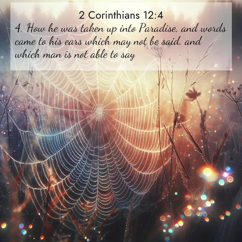 BasicEnglish 2 Corinthians  ; image nature: image with the bible verse :How he was taken up into Paradise, and words came to his ears which may not be said, and which man is not able to say. ; Discover Bible images capturing the splendor of deserts, with golden dunes, vast skies, and peaceful oases. These landscapes highlight the grandeur and serenity of God&#039;s creation. Share verses like KJV 2 Corinthians 12:4. Current verse is overlayed with the thematic nature scene : Morning fog reveals spider web galaxies. Dew drops catch rainbow light. ; 12:4