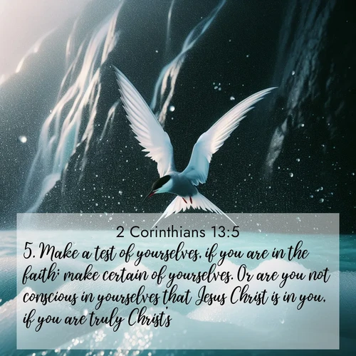 BasicEnglish 2 Corinthians  ; image nature: image with the bible verse :Make a test of yourselves, if you are in the faith; make certain of yourselves. Or are you not conscious in yourselves that Jesus Christ is in you, if you are truly Christ&#039;s? ; Dive into our collection of Bible verse images beautifully illustrated with beach photos, featuring gentle waves, sunsets over the sea, and sandy shores. These scenes evoke the peace and majesty of God. Download and share inspiring verses like KJV 2 Corinthians 13:5. Current verse is overlayed with the thematic nature scene : Arctic terns dive through sea spray above turquoise glacial meltwater. Their white wings flash silver against obsidian cliffs. ; 13:5