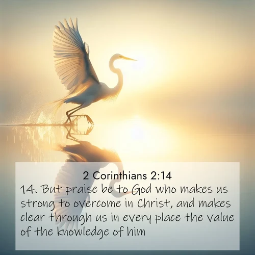 BBE 2 Corinthians 2:14 overlaying nature image scene: A great egret lifts from mirror-still water. Sunrise sets its wings ablaze.;14. But praise be to God who makes us strong to overcome in Christ, and makes clear through us in every place the value of the knowledge of him.