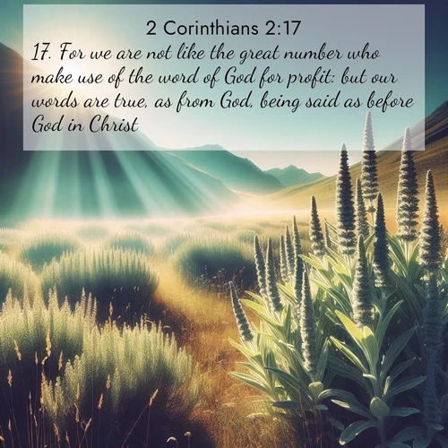 BBE 2 Corinthians 2:17 overlaying nature image scene: Summer heat brings out the scent of sage in mountain meadows.;17. For we are not like the great number who make use of the word of God for profit: but our words are true, as from God, being said as before God in Christ.